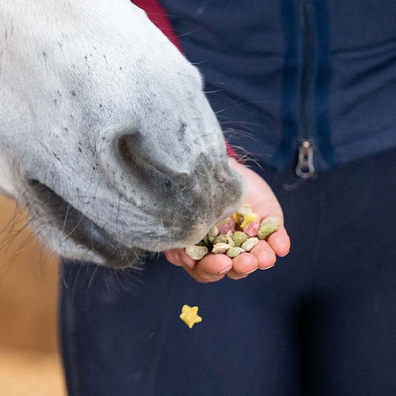 Paardensnacks Snaks Regenboog
