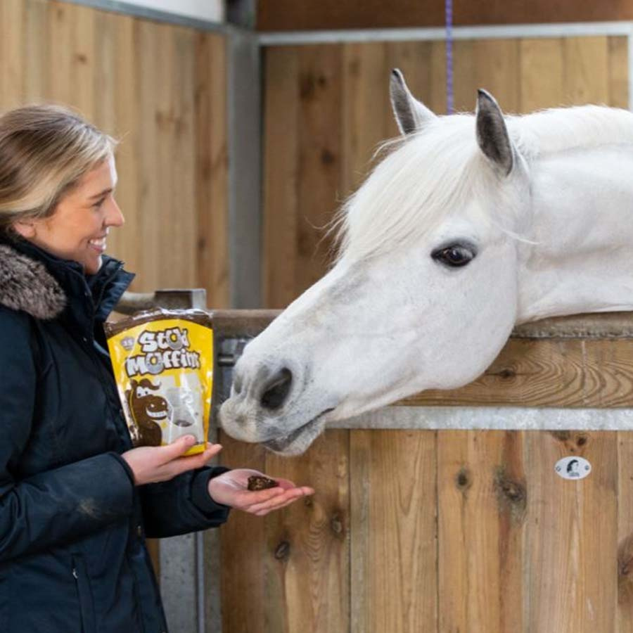 Paardensnacks Stud Muffins 3st