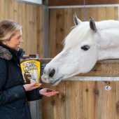 Paardensnacks Stud Muffins 3st Paardensnacks Stud Muffins 3st