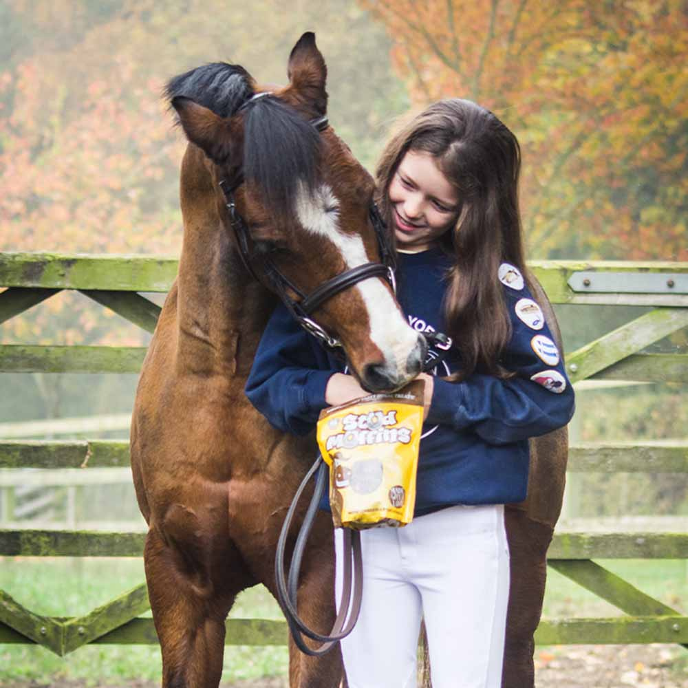 Paardensnacks Stud Muffins