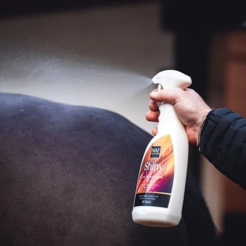 Glansspray Shiny 750ml