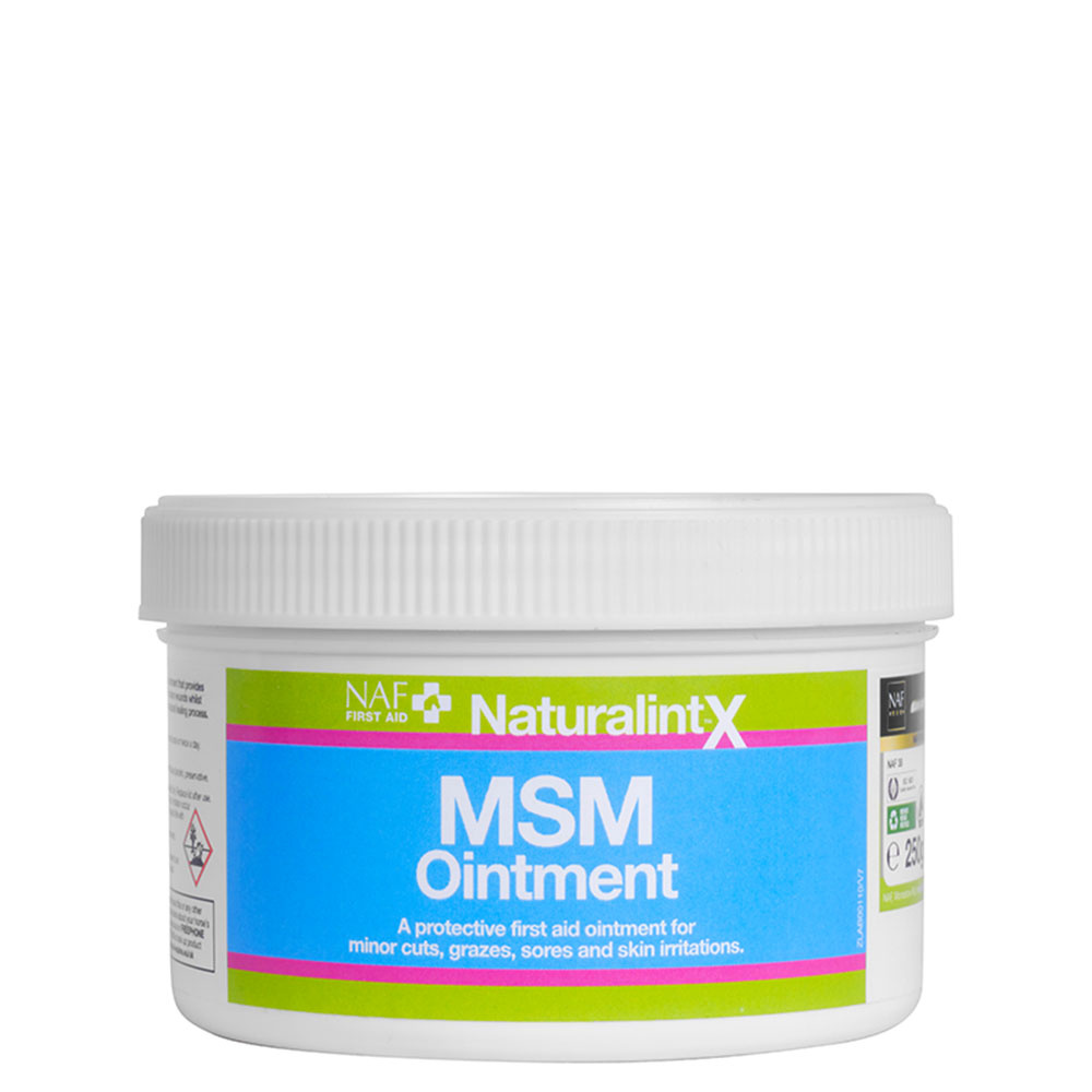 NaturalintX MSM Zalf 250g