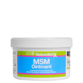 NaturalintX MSM Zalf 250g NaturalintX MSM Zalf 250g