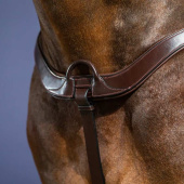 Borsttuig Anatomical New English Collection Bruin Borsttuig Anatomical New English Collection Bruin