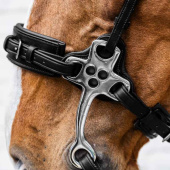 Hackamore New English Collection Zwart Hackamore New English Collection Zwart