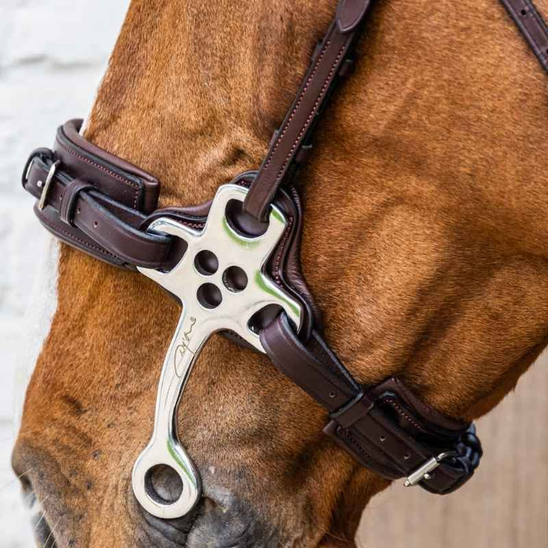 Hackamore New English Collection Bruin