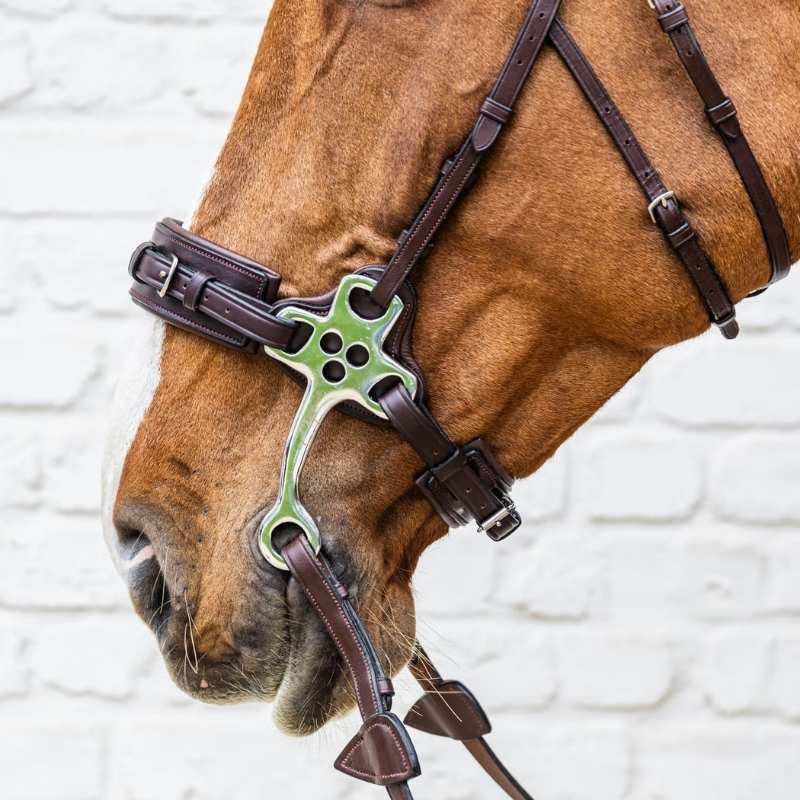 Hackamore New English Collection Bruin