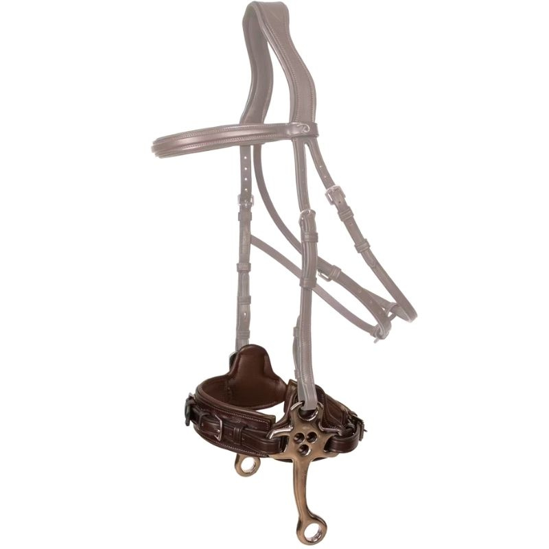 Hackamore New English Collection Bruin
