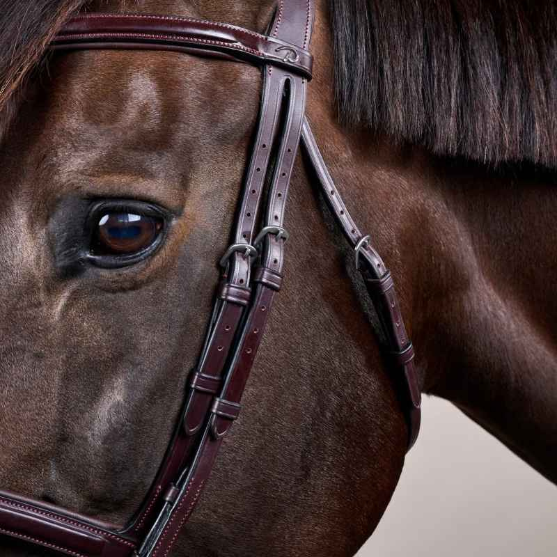 Hoofdstel Verhoogde Gecombineerde Neusriem NE Bruin
