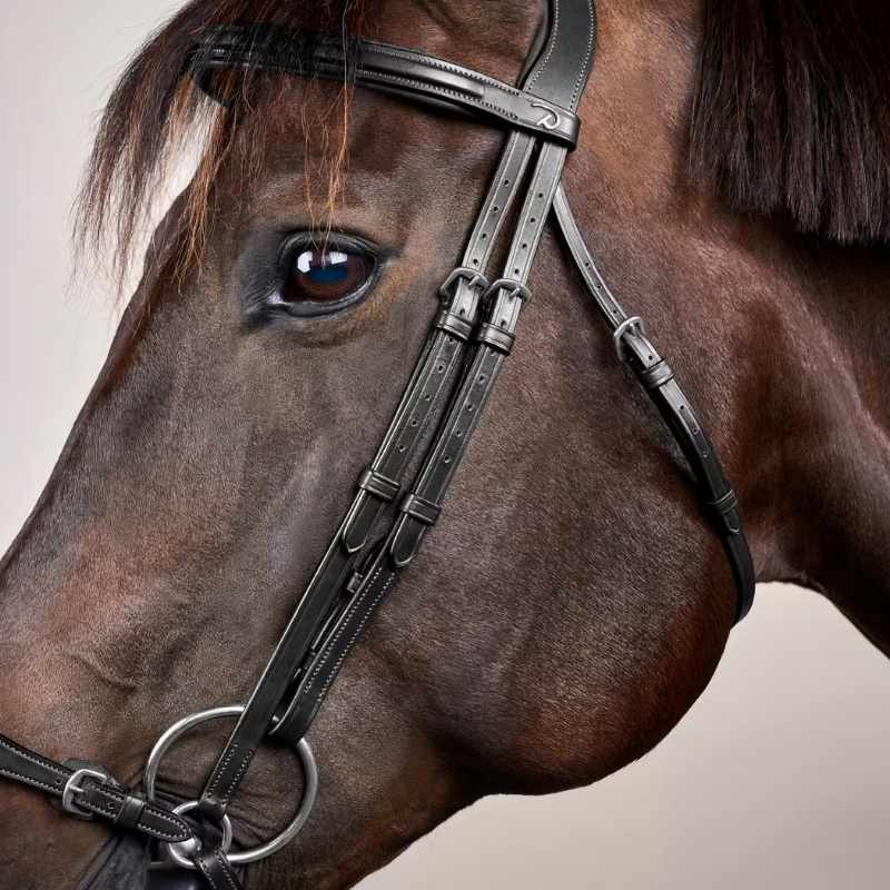 Hannoveraanse Hoofdstel New English Collection Zwart