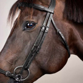 Hannoveraanse Hoofdstel New English Collection Zwart Hannoveraanse Hoofdstel New English Collection Zwart