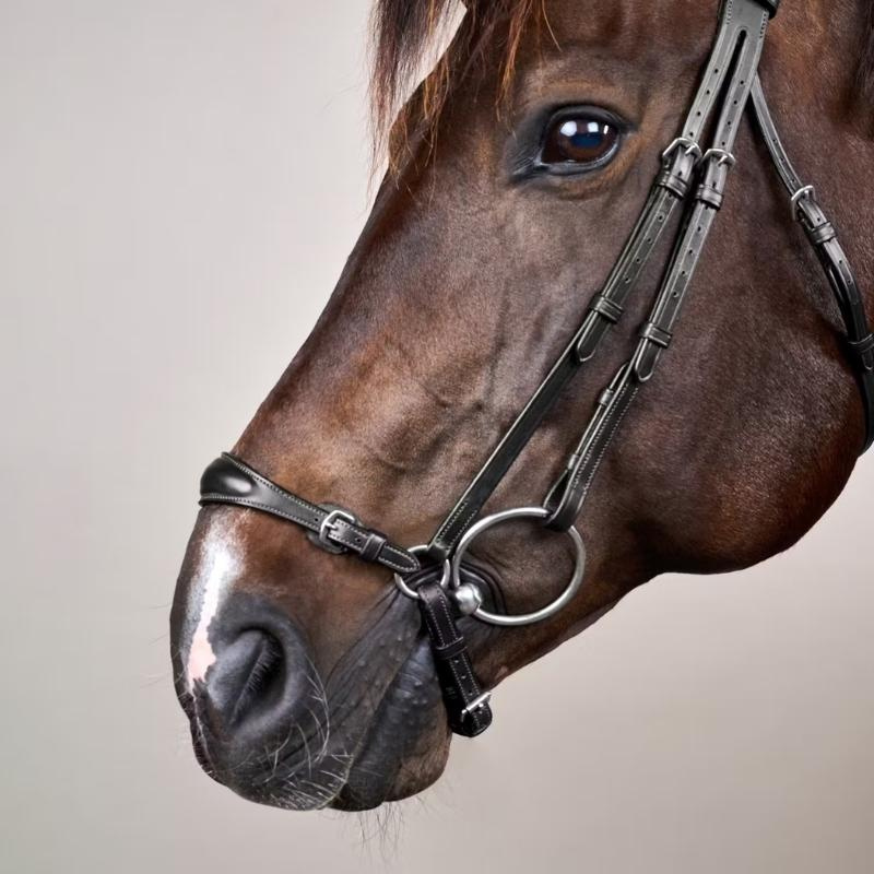 Hannoveraanse Hoofdstel New English Collection Zwart