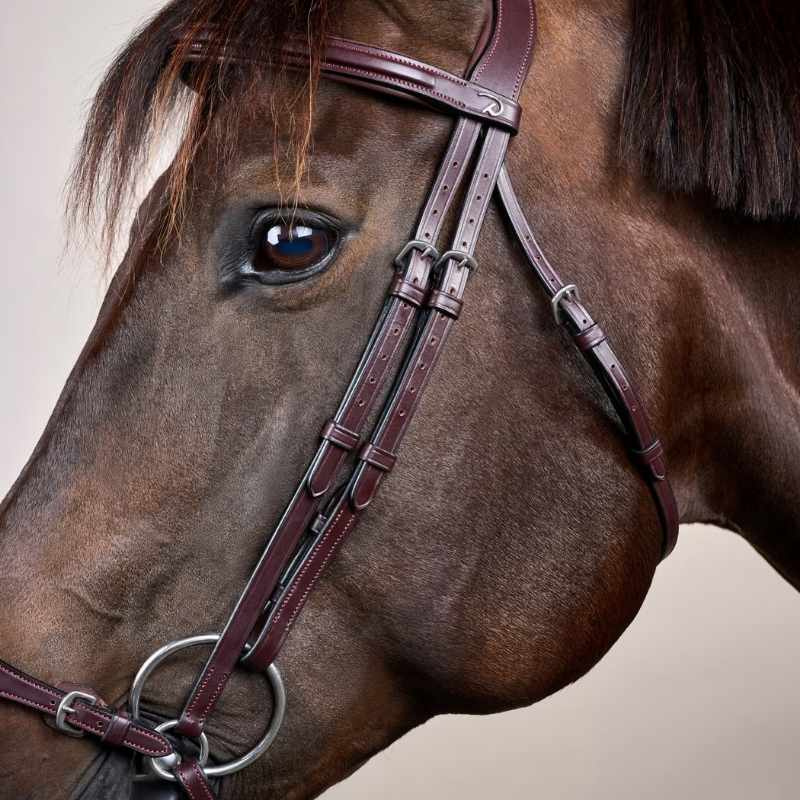 Hannoveraanse Hoofdstel New English Collection Bruin