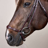 Hannoveraanse Hoofdstel New English Collection Bruin Hannoveraanse Hoofdstel New English Collection Bruin