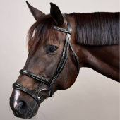 Hoofdstel Dubbele Neusriem New English Collection Zwart Hoofdstel Dubbele Neusriem New English Collection Zwart