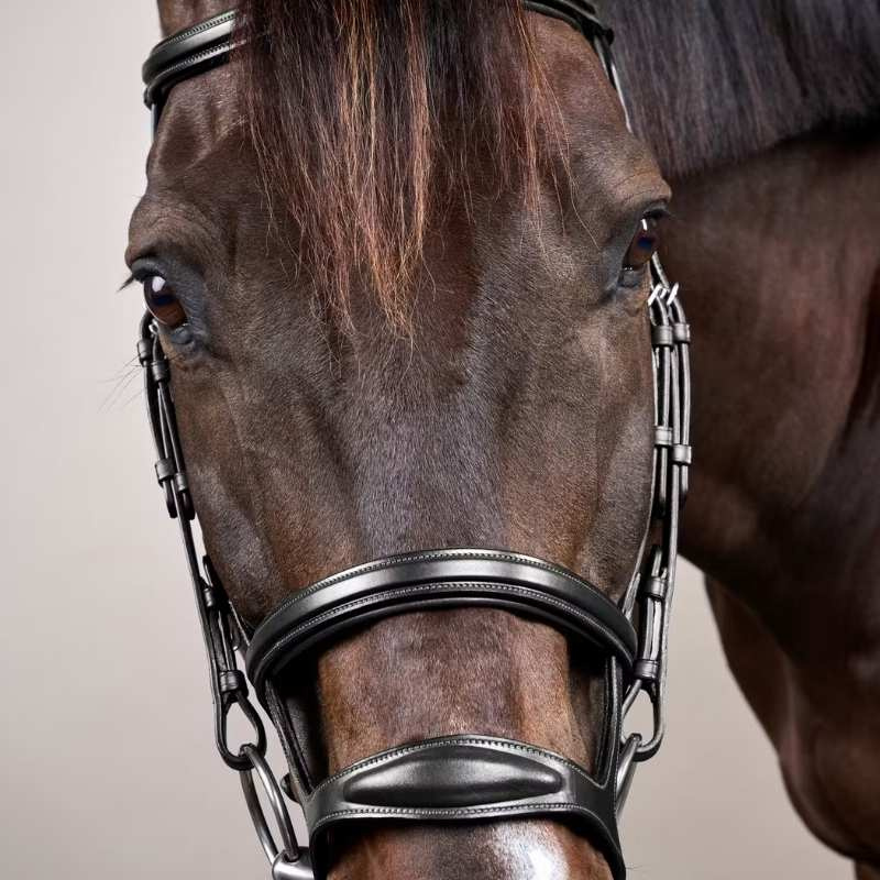 Hoofdstel Dubbele Neusriem New English Collection Zwart