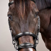 Hoofdstel Dubbele Neusriem New English Collection Zwart Hoofdstel Dubbele Neusriem New English Collection Zwart