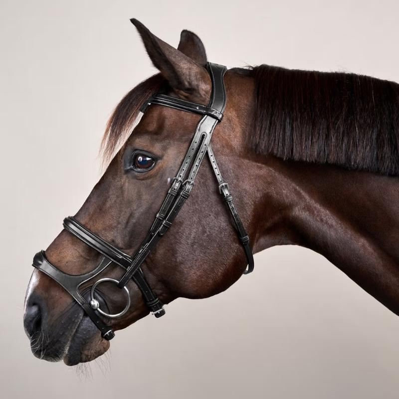 Hoofdstel Dubbele Neusriem New English Collection Zwart