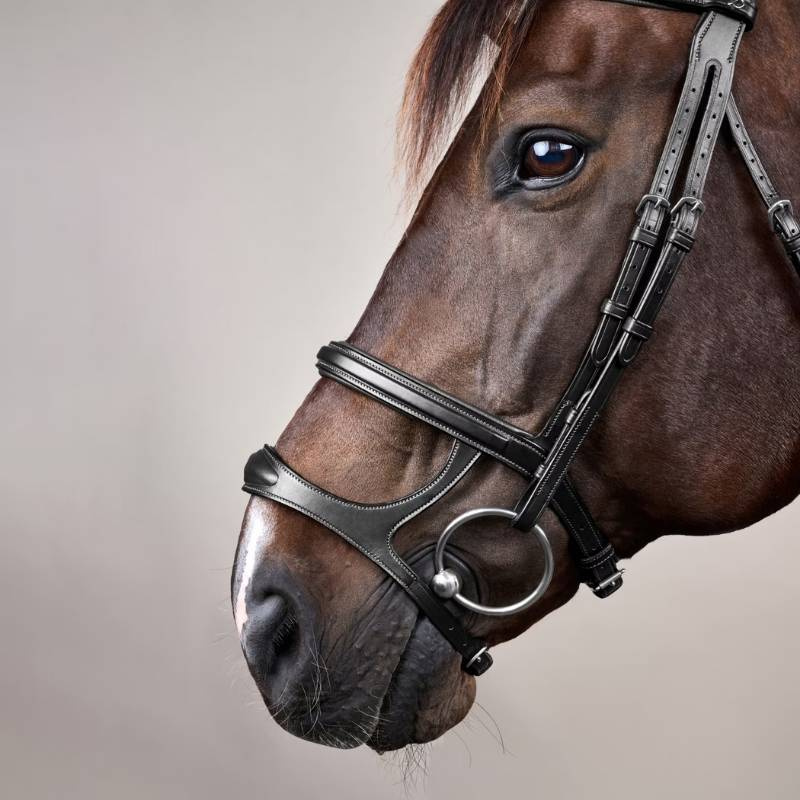 Hoofdstel Dubbele Neusriem New English Collection Zwart