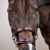 Hoofdstel Dubbele Neusriem New English Collection Bruin Hoofdstel Dubbele Neusriem New English Collection Bruin