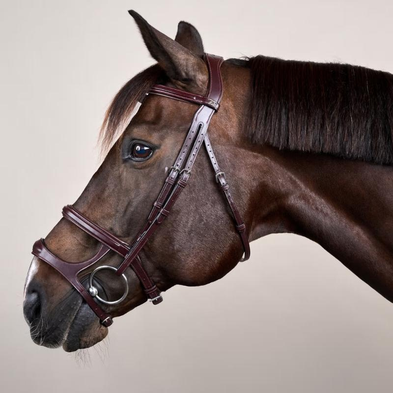 Hoofdstel Dubbele Neusriem New English Collection Bruin