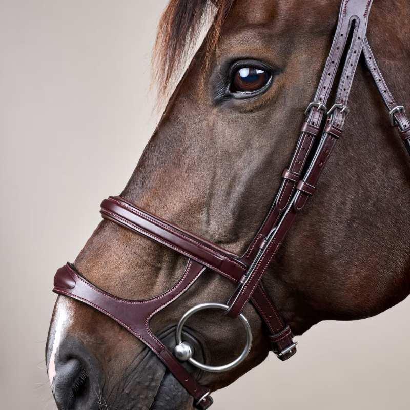 Hoofdstel Dubbele Neusriem New English Collection Bruin