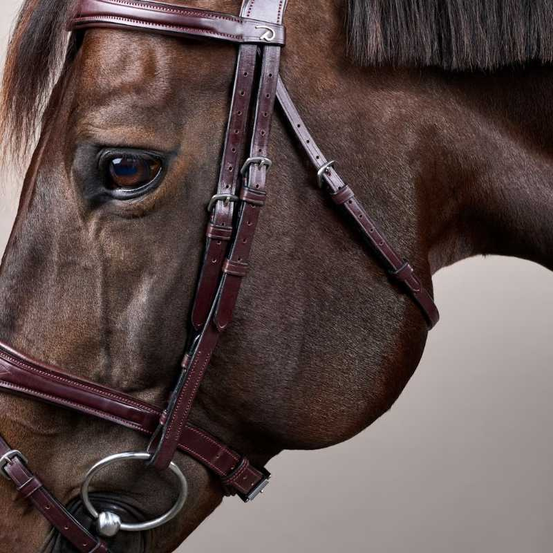 Hoofdstel Anatomische Gecombineerde Neusriem NE Bruin
