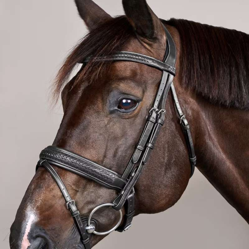 Hoofdstel Plaited Pull Back New English Collection Zwart