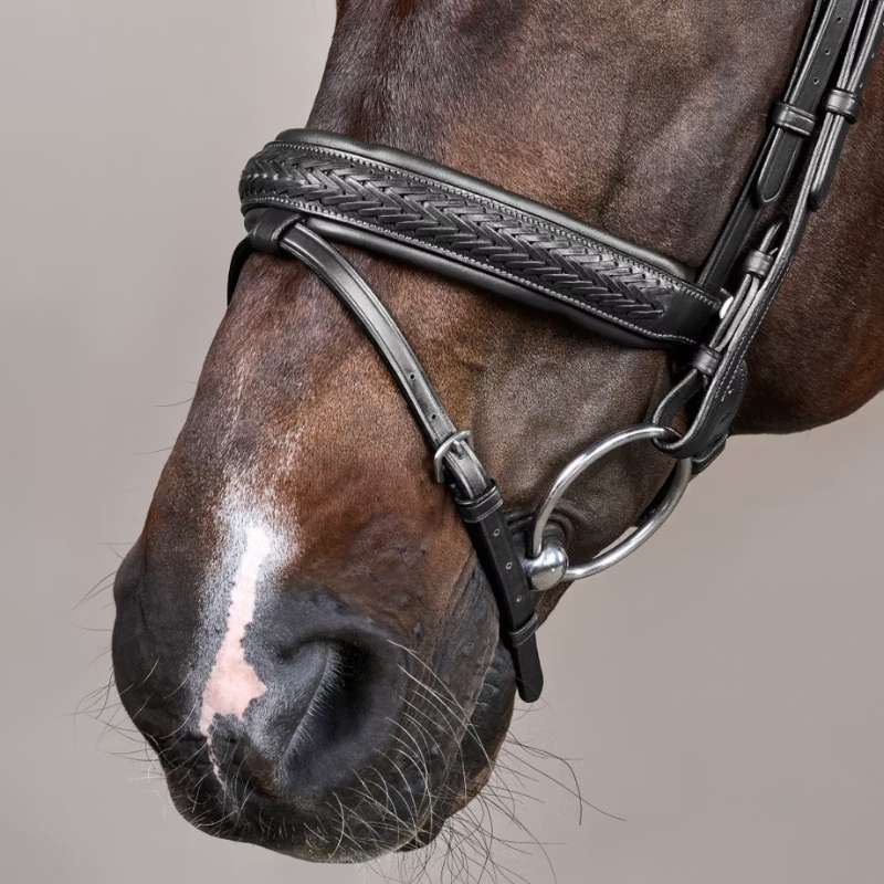 Hoofdstel Plaited Pull Back New English Collection Zwart
