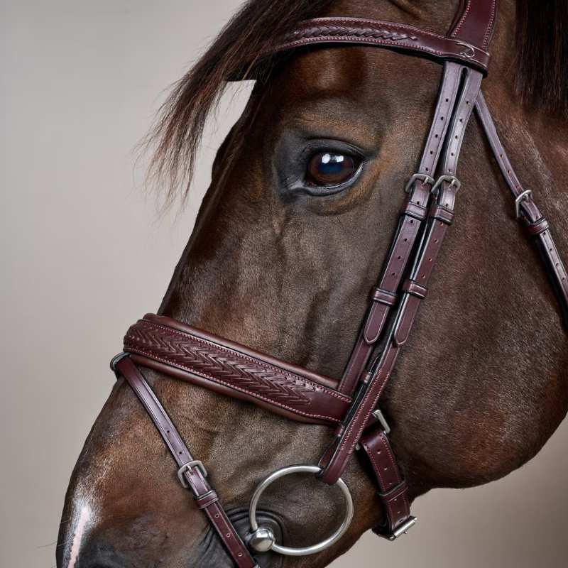 Hoofdstel Plaited Pull Back New English Collection Bruin