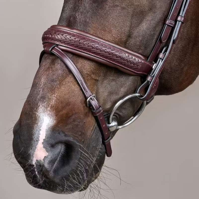 Hoofdstel Plaited Pull Back New English Collection Bruin