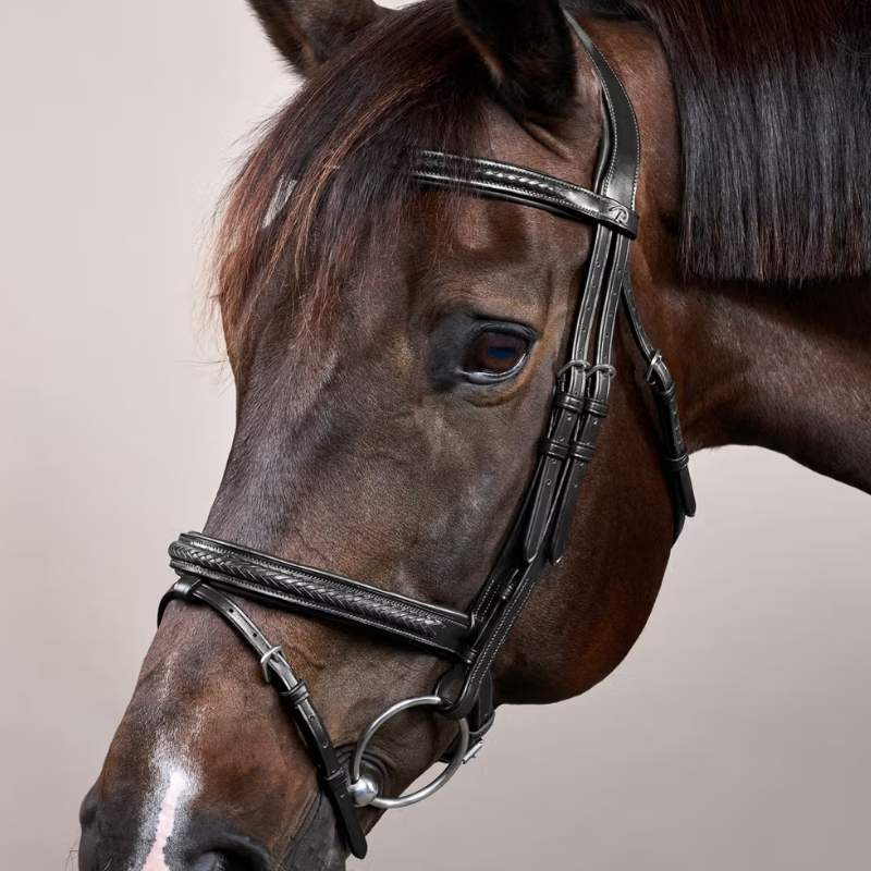 Hoofdstel Gecombineerde neusriem Plaited New English Collection Zwart