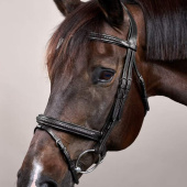 Hoofdstel Gecombineerde neusriem Plaited New English Collection Zwart Hoofdstel Gecombineerde neusriem Plaited New English Collection Zwart