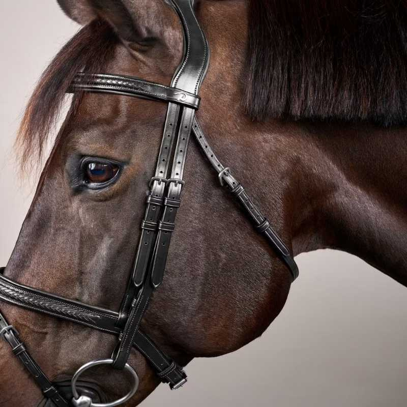 Hoofdstel Gecombineerde neusriem Plaited New English Collection Zwart