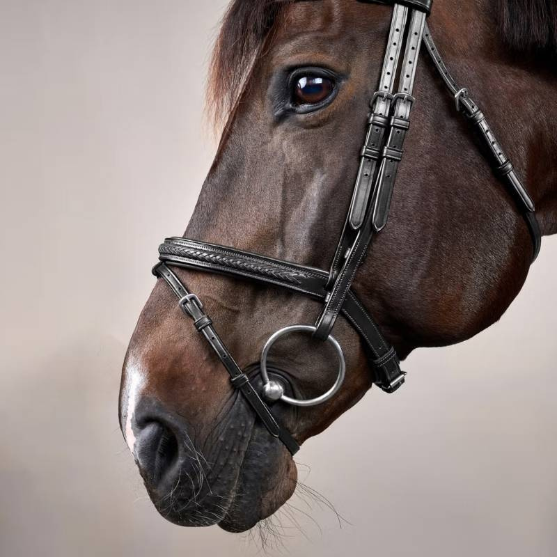 Hoofdstel Gecombineerde neusriem Plaited New English Collection Zwart