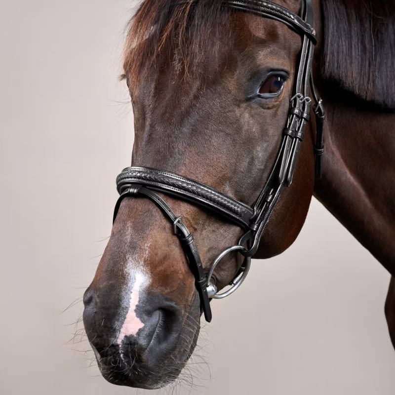 Hoofdstel Gecombineerde neusriem Plaited New English Collection Zwart