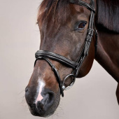 Hoofdstel Gecombineerde neusriem Plaited New English Collection Zwart Hoofdstel Gecombineerde neusriem Plaited New English Collection Zwart