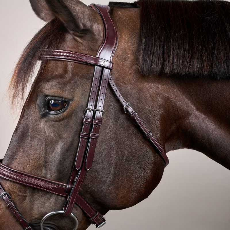 Hoofdstel Gecombineerde neusriem Plaited New English Collection Bruin