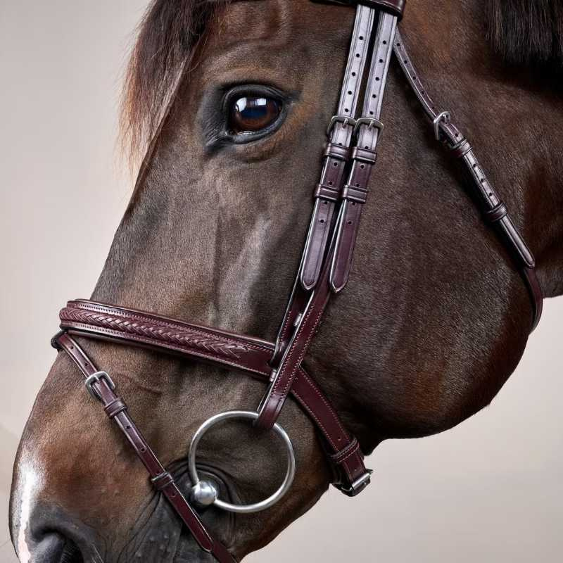 Hoofdstel Gecombineerde neusriem Plaited New English Collection Bruin