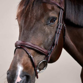 Hoofdstel Gecombineerde neusriem Plaited New English Collection Bruin Hoofdstel Gecombineerde neusriem Plaited New English Collection Bruin
