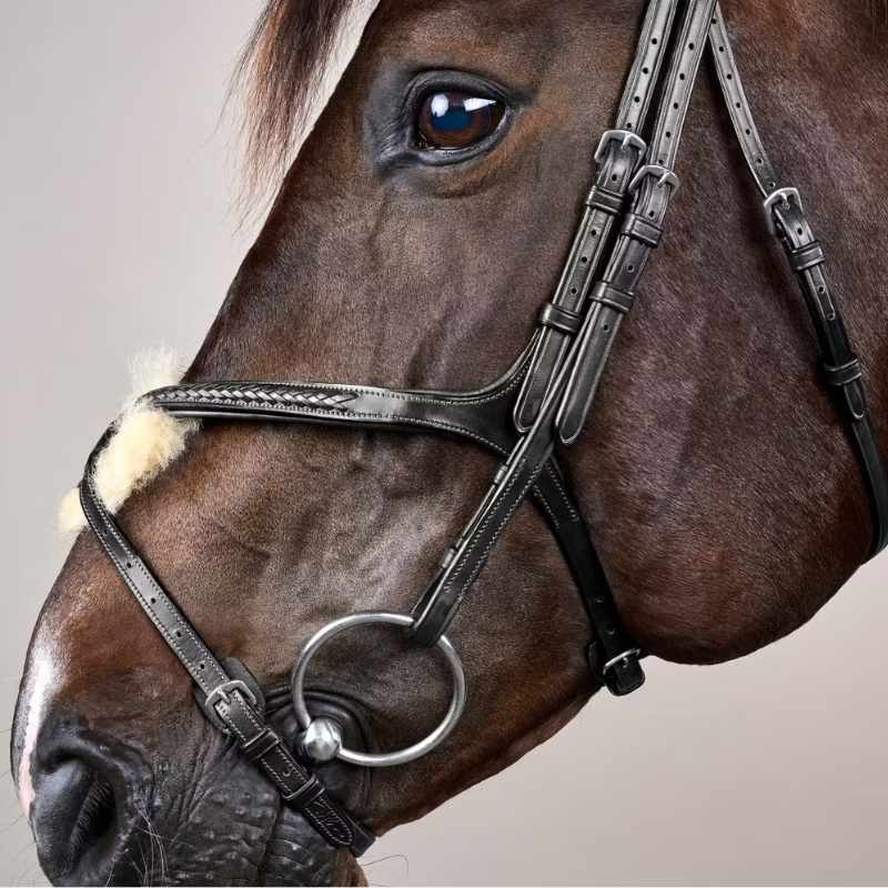 Hoofdstel Mexicaanse neusriem Plaited New English Collection Zwart