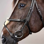 Hoofdstel Mexicaanse neusriem Plaited New English Collection Zwart Hoofdstel Mexicaanse neusriem Plaited New English Collection Zwart