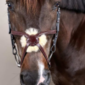 Hoofdstel Mexicaanse neusriem Plaited New English Collection Bruin Hoofdstel Mexicaanse neusriem Plaited New English Collection Bruin