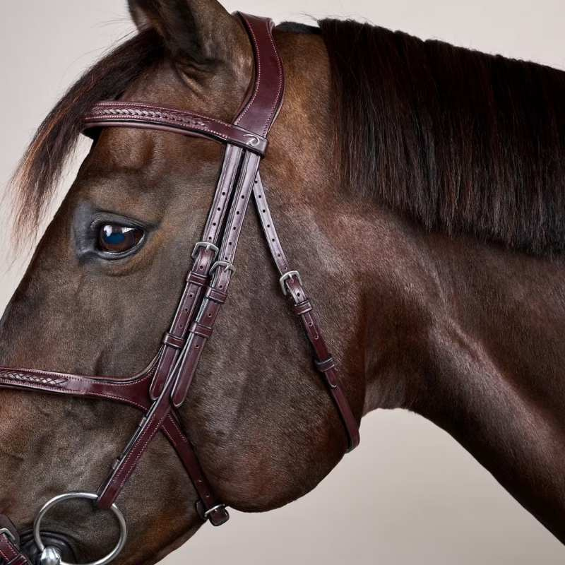 Hoofdstel Mexicaanse neusriem Plaited New English Collection Bruin