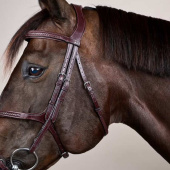 Hoofdstel Mexicaanse neusriem Plaited New English Collection Bruin Hoofdstel Mexicaanse neusriem Plaited New English Collection Bruin