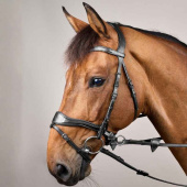 Hoofdstel D Motion New English Collection Zwart Hoofdstel D Motion New English Collection Zwart