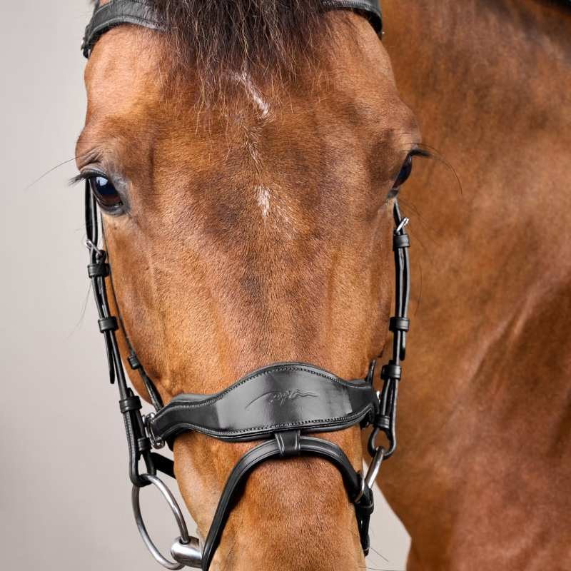 Hoofdstel D Motion New English Collection Zwart
