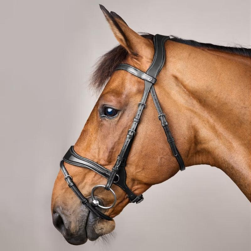 Hoofdstel D Motion New English Collection Zwart