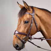 Hoofdstel D Motion New English Collection Bruin Hoofdstel D Motion New English Collection Bruin