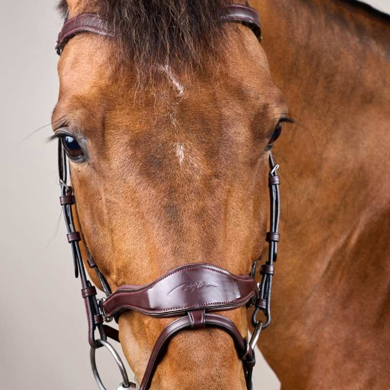 Hoofdstel D Motion New English Collection Bruin